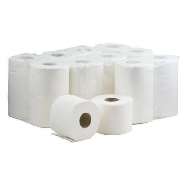TOILET ROLL 2 PLY 1P